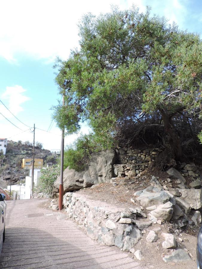 הוילה סנטה קרוז דה טנריף Casa Lilia, En Taganana מראה חיצוני תמונה